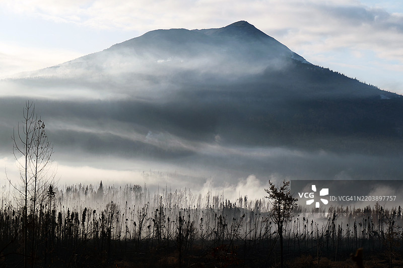 阿拉斯加基奈国家野生动物保护区的山脉和被野火烟雾笼罩的烧焦云杉树木图片素材
