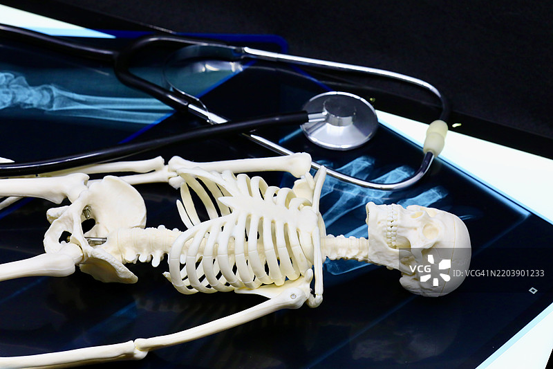 医生办公室里的骨骼模型和X光图像图片素材