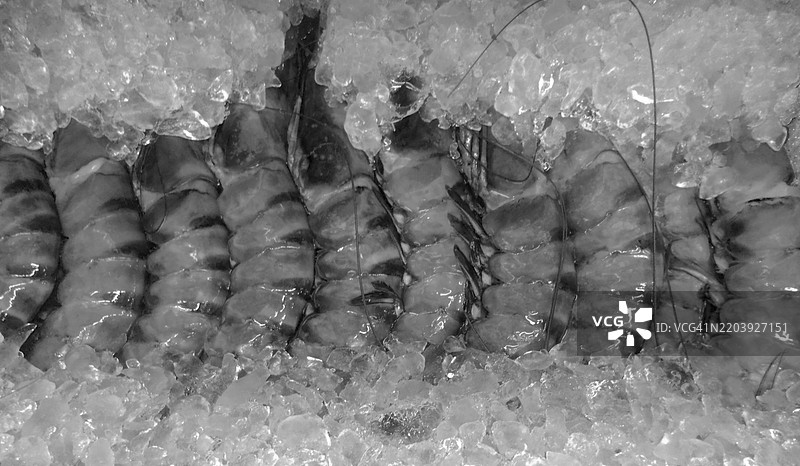 黑白虾的特写图片素材