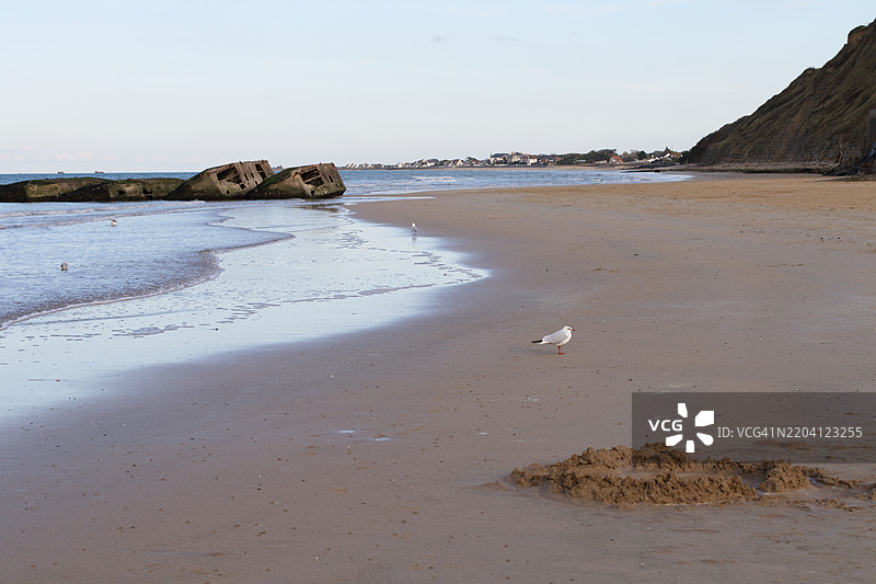 阿龙曼什-莱-班海滩上的人造港口穆尔贝里B的遗迹图片素材