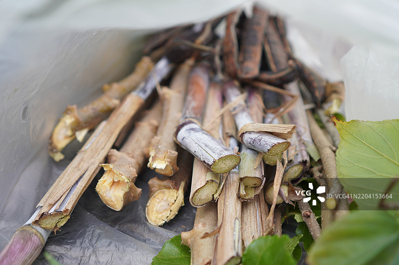 黑糖甘蔗2图片素材