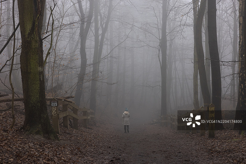 一位女性在波兰格丁尼亚的冬季雾霭森林中漫步。图片素材