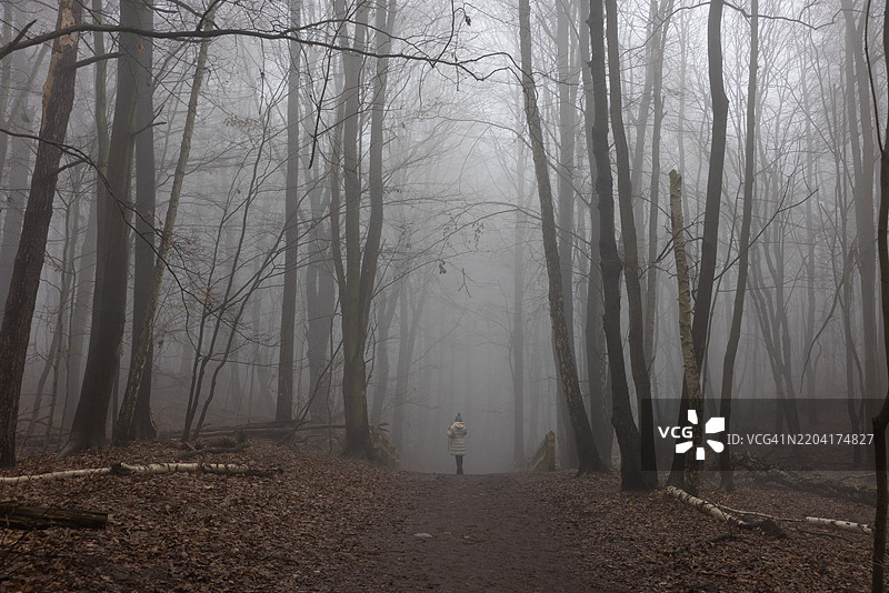 一位女性在波兰格丁尼亚的冬季雾霭森林中漫步。图片素材