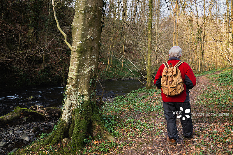 一位老年男子在小溪旁的人行道上散步图片素材