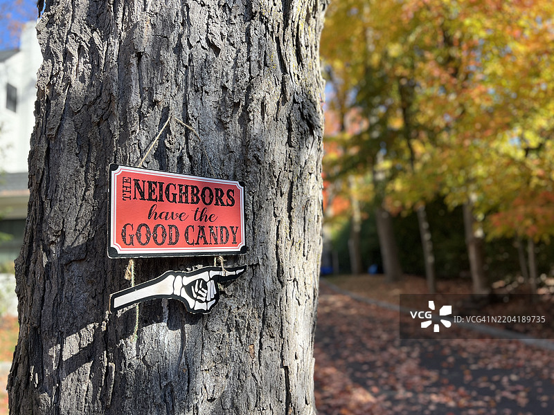 万圣节的“不给糖就捣蛋”装饰图片素材