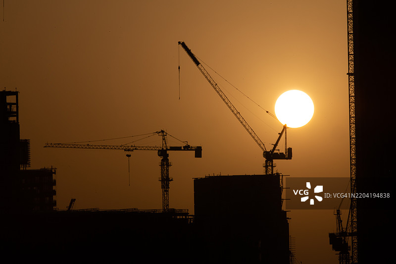 鹤上的阳光图片素材