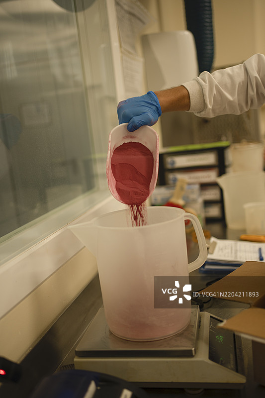 实验室工作人员将红色粉末倒入量具中图片素材