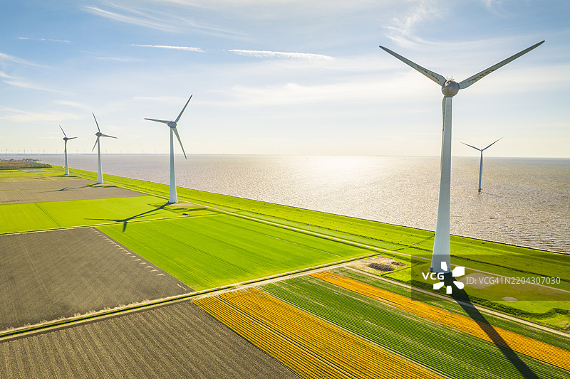 从上方俯瞰农业田野中的郁金香与背景中的风力发电机图片素材