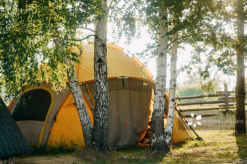 露营帐篷放置在户外营地的白桦树之间图片素材
