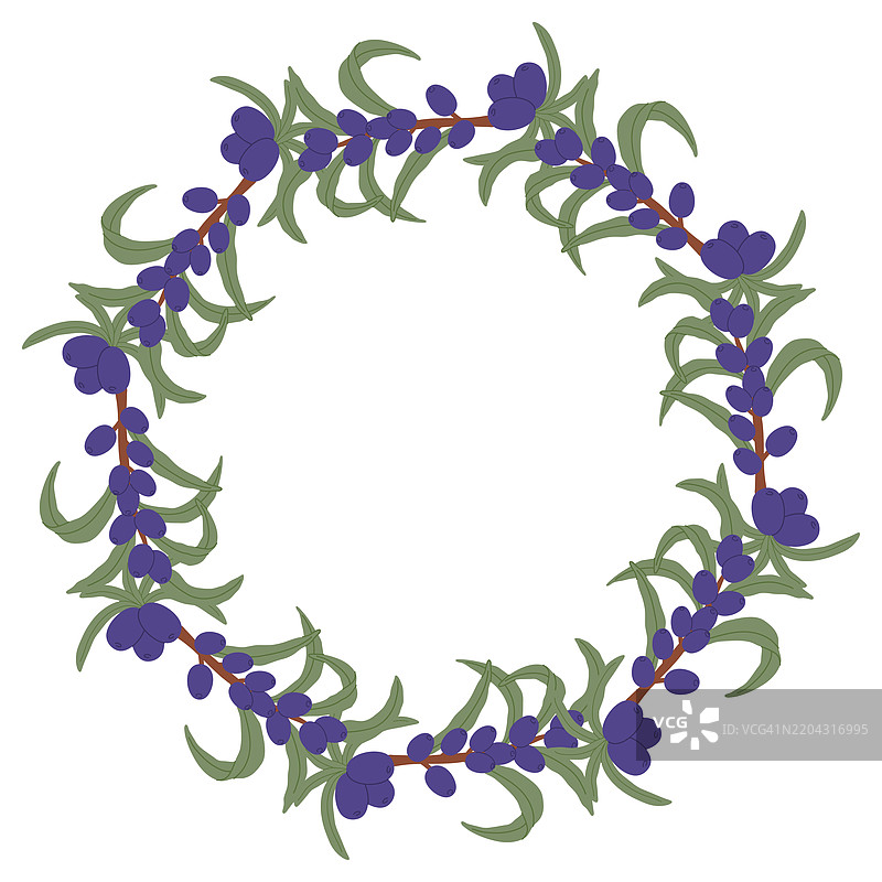 手绘植物花环，配有紫色浆果和绿色叶子，呈现自然装饰设计。图片素材