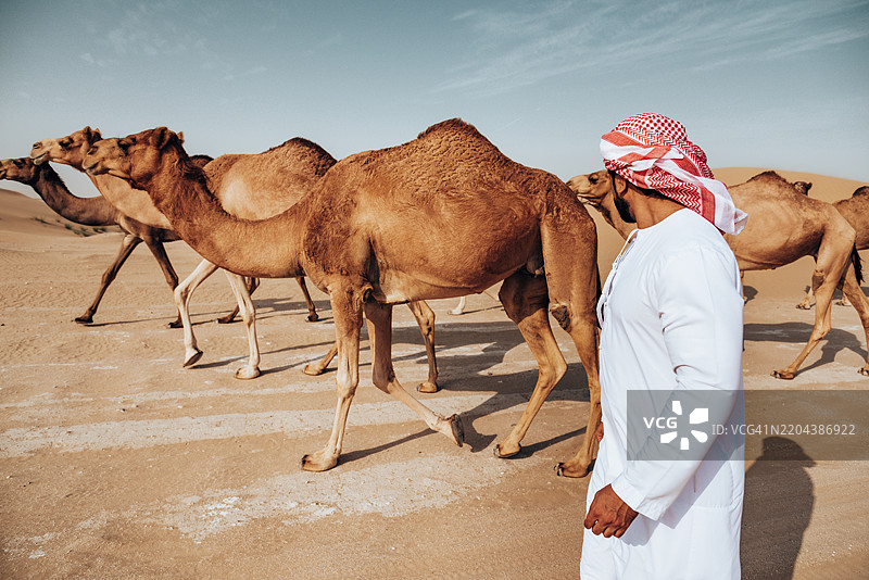 阿拉伯人在沙漠中行走图片素材