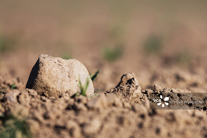 沙面上的石头图片素材