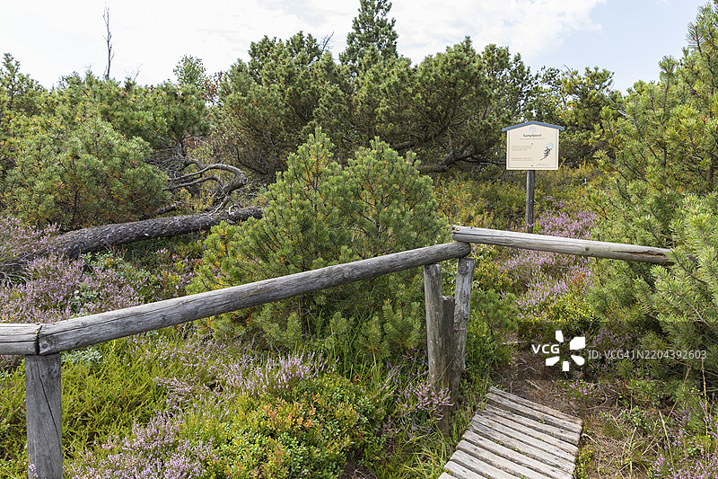 德国萨克森州奥斯特尔茨基尔的乔根费尔德高沼自然保护区的指示牌和木栈道图片素材