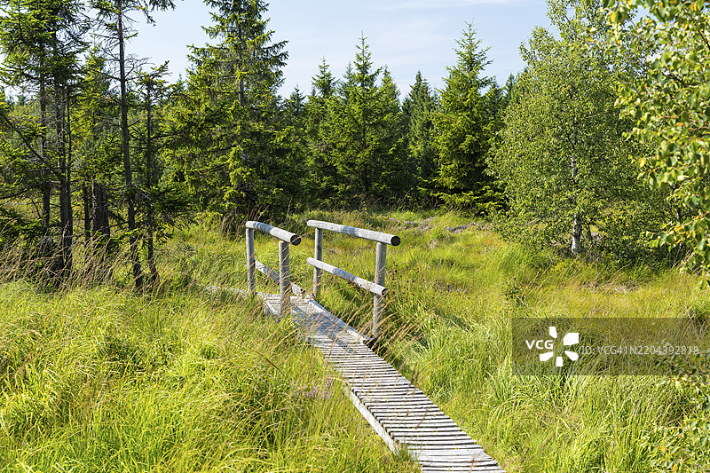 德国萨克森州奥斯特尔茨山脉齐恩瓦尔德的乔根费尔德高沼泽自然保护区的木栈道图片素材