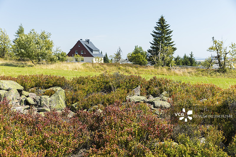 德国萨克森州东欧山脉的齐恩瓦尔德-乔根费尔德，升高泥炭草甸中石质山脊和石堆作为单独草甸地块的边界图片素材