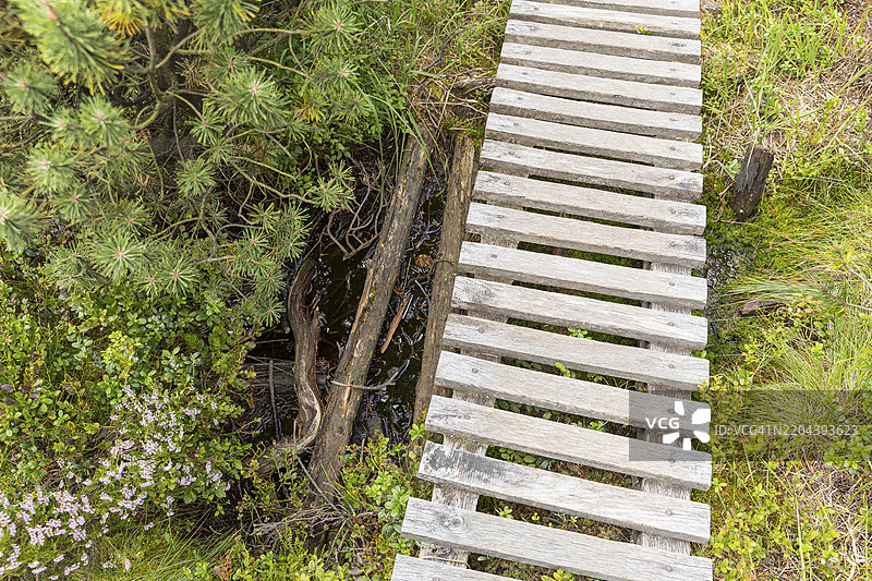 德国萨克森州奥斯特茨基尔比格的乔根费尔德高沼自然保护区上，静水上的木栈道图片素材
