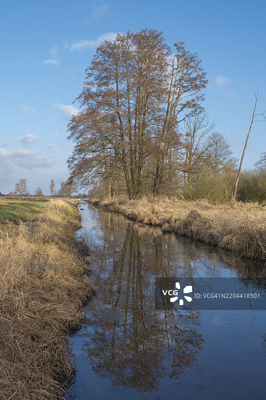 斯坦胡德湖畔的芬格拉本沟渠沿岸植被景观,沟渠、树木、风景照片、自然照片、植物、动物、竖版格式、柳树、草地、低地、天空、云彩、自行车道、哈根堡、斯坦胡德、汉诺威地区、下萨克森州、德国图片素材