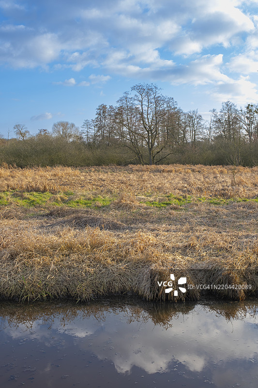 斯坦胡德湖边的法恩格拉本沟渠边缘的植被景观,树木,风景照片,自然照片,植物,动物,竖版格式,柳树,草地,低地,天空,云彩,哈根堡,斯坦胡德,汉诺威地区,下萨克森州,德国,E图片素材
