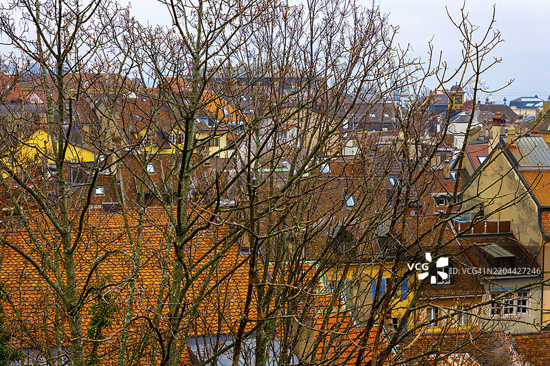 雾天的瑞士纳沙泰尔市，老城区的城市风景，背景是一棵白桦树、一座房子和纳沙泰尔湖。图片素材