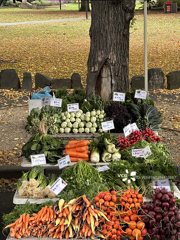 霍巴特，澳大利亚户外市场摊位上的新鲜蔬菜图片素材
