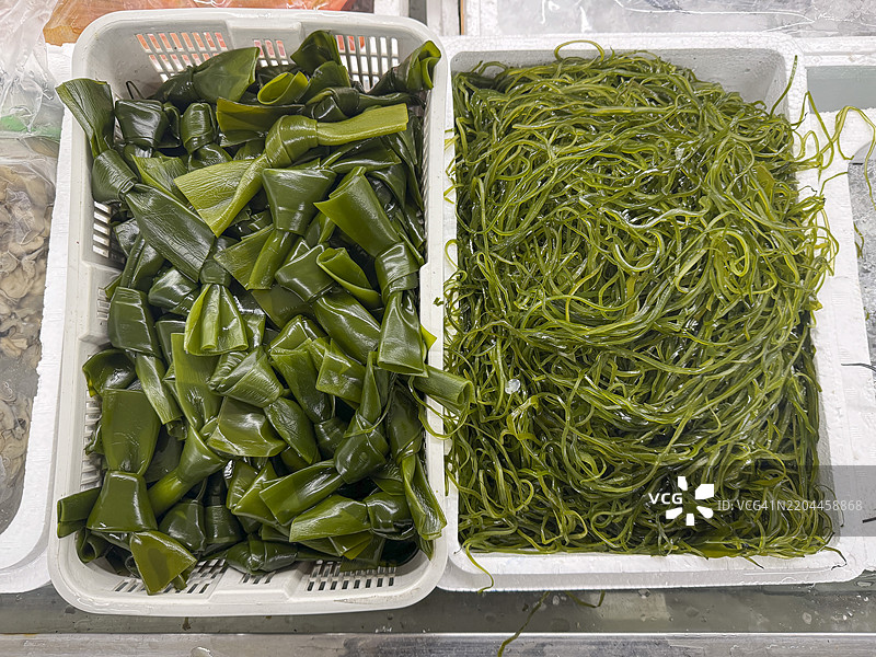 横滨桥市场的鲜海带（昆布）容器图片素材