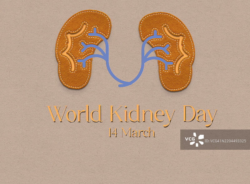 世界肾脏日图片素材