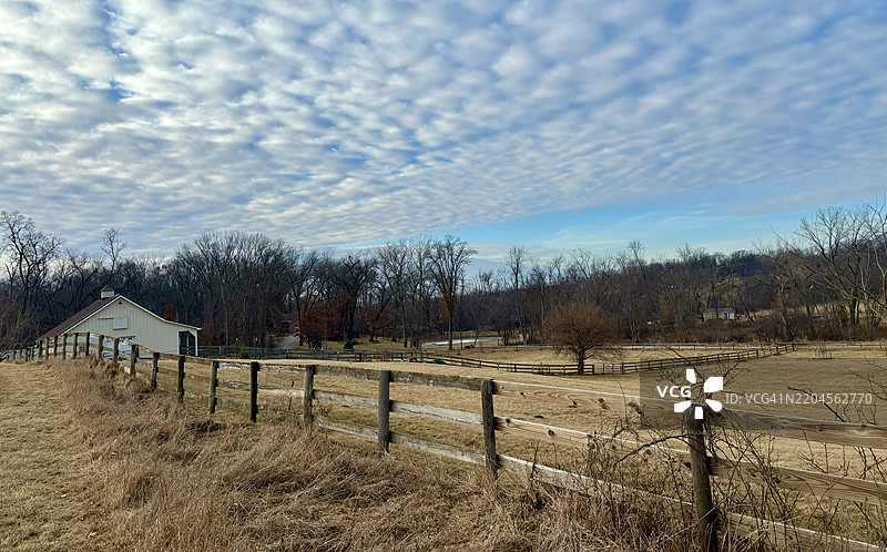 田野上的树木与天空相映，伊利诺伊州，塞达拉皮兹，美国图片素材
