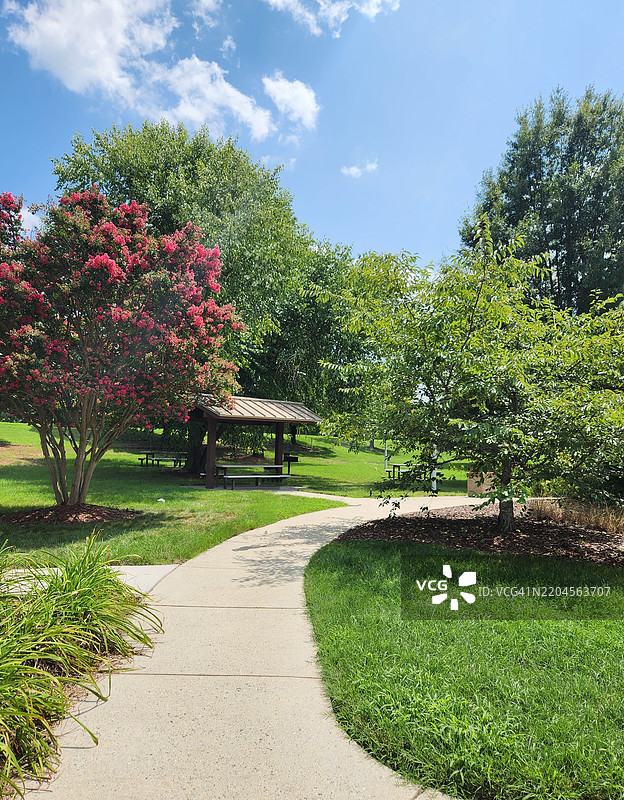 公园里的树，美国，USA图片素材