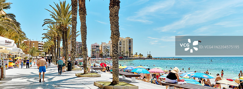 许多人在西班牙阿利坎特省的托雷维耶哈度假小镇的海滩上晒太阳。全景,广角视图图片素材