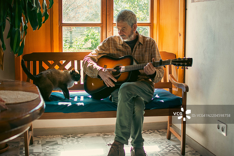 老年男子在家中弹奏木吉他，猫咪在长椅上走动。图片素材