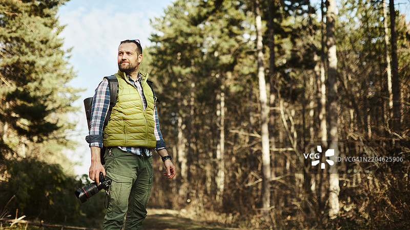 一位中年男性摄影师在美丽的松树林中探索和观察大自然。图片素材