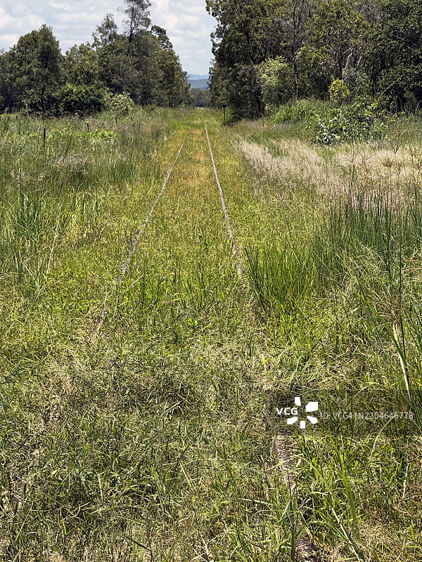 草地上的萨凡纳铁路火车轨道图片素材