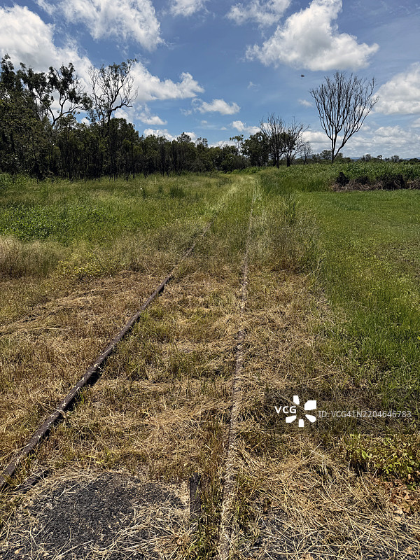 草地上的萨凡纳铁路火车轨道图片素材