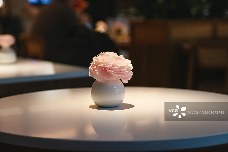 粉色单朵毛茛花在小陶瓷花瓶中，作为温馨本地咖啡馆的室内装饰图片素材
