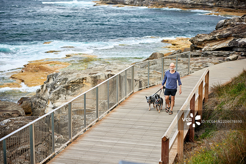 老年人在邦迪海滩春季锻炼宠物图片素材