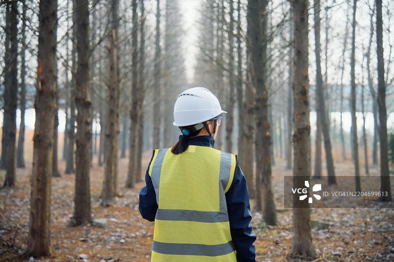 森林中的亚洲女性工程师图片素材