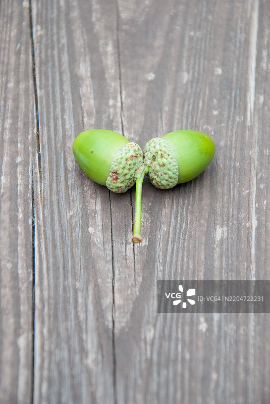 高角度视图的桌子上的蔬菜图片素材