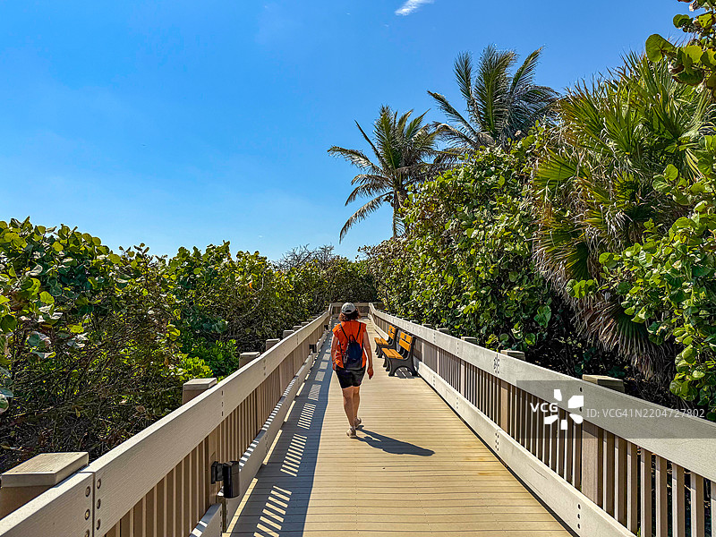在博卡拉顿的红礁公园，女人在郁郁葱葱的植物间走在木栈道上图片素材