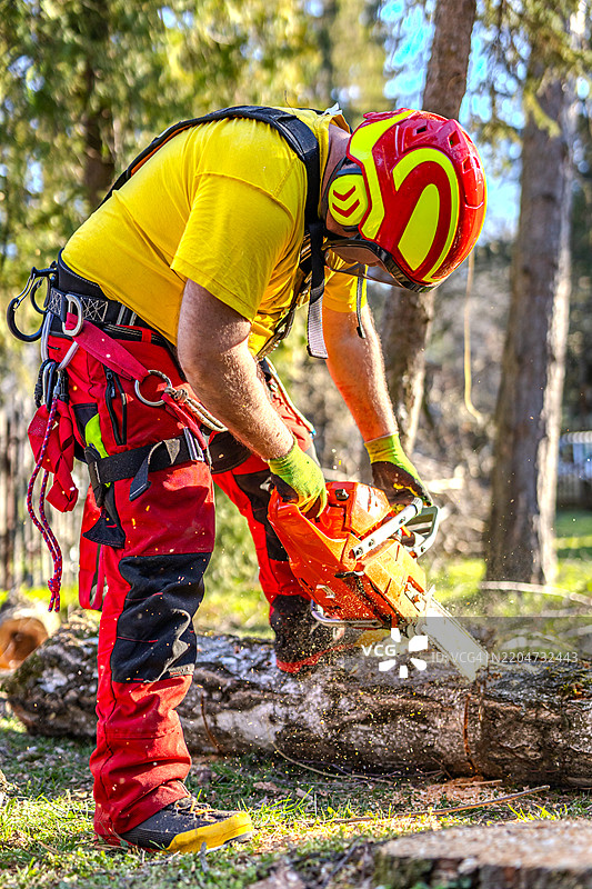 树艺师在修剪树枝图片素材