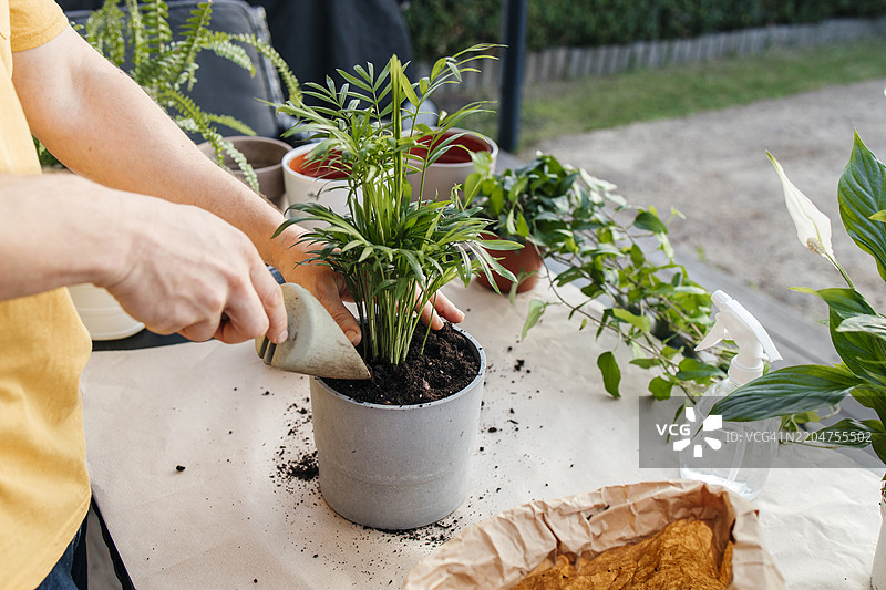 男子在花盆中用铲子种植植物并添加土壤图片素材