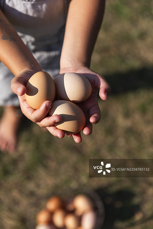 女孩在农场里手握鸡蛋图片素材
