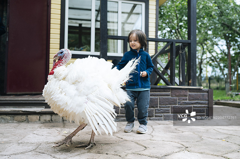 快乐的男孩在农场的房子前面与火鸡在一起图片素材