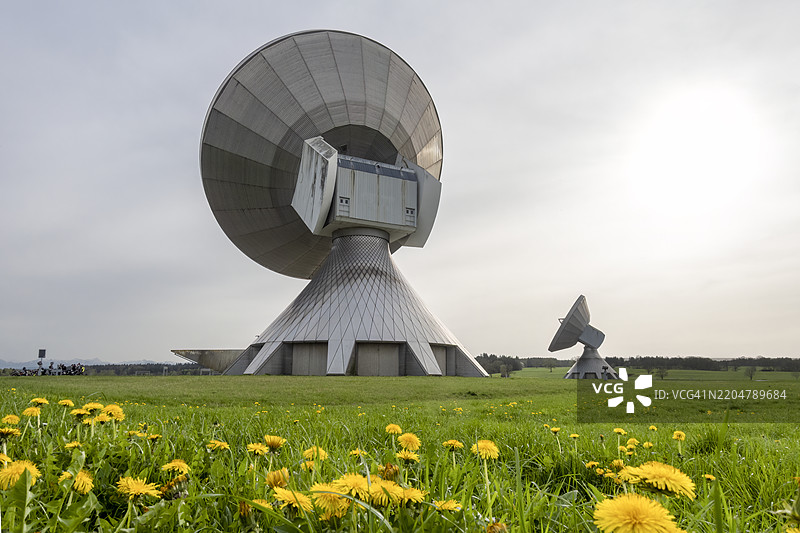 黄色蒲公英田野上的卫星天线图片素材