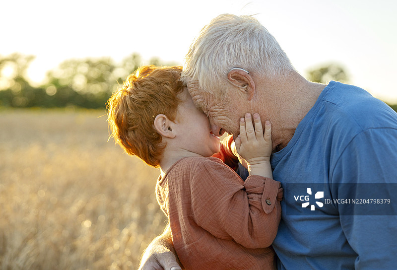 祖父在田野里拥抱孙子图片素材