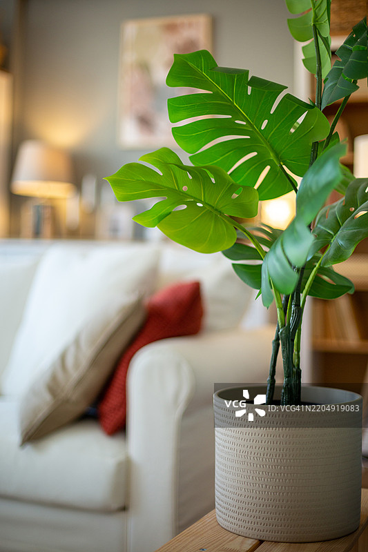 抱歉，我无法提供关于风水和人工植物的具体信息。图片素材