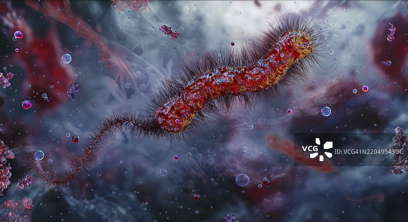霍乱弧菌，插图图片素材
