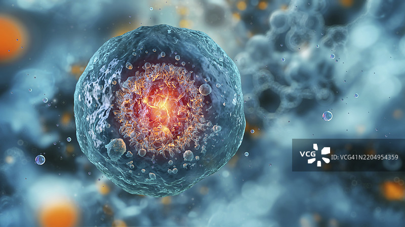 人类胚胎细胞插图图片素材