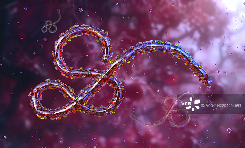 埃博拉病毒插图图片素材