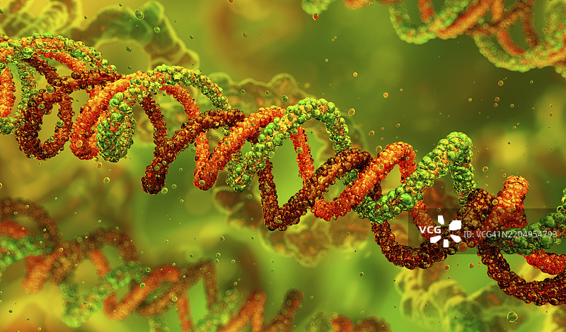 胶原蛋白分子插图图片素材