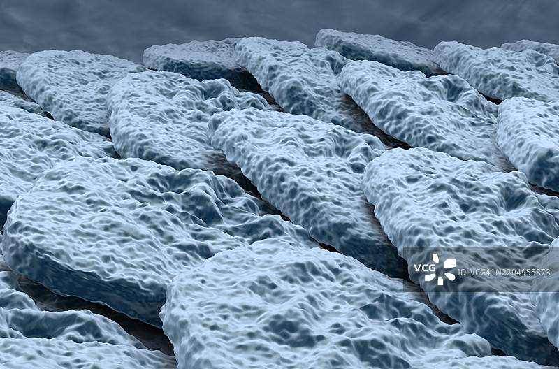 人类皮肤插图图片素材